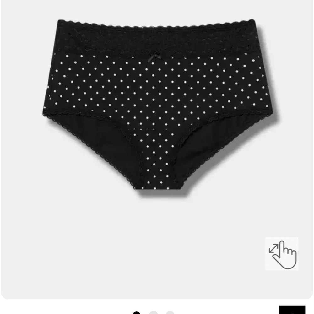 Sold! Torrid Size 2 Panty BNWT